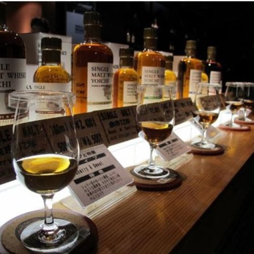 Whisky tasting at Nikka Distillery Hokkaido