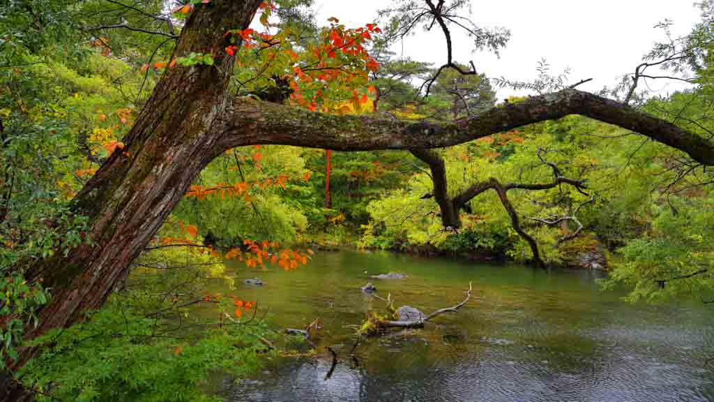 Five coloured lake (Goshikinuma) at Urabandai in Fukushima in autumn