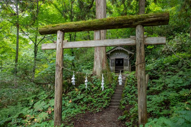 Togakushi Jinja in Nagano