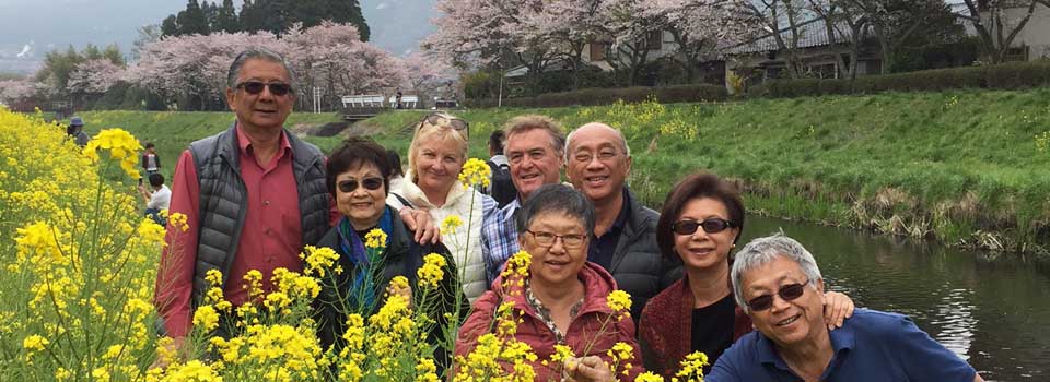 Journey to the East Food Tour of Kyushu Japan 2017 in Yufuin with cherry blossom and rape flowers