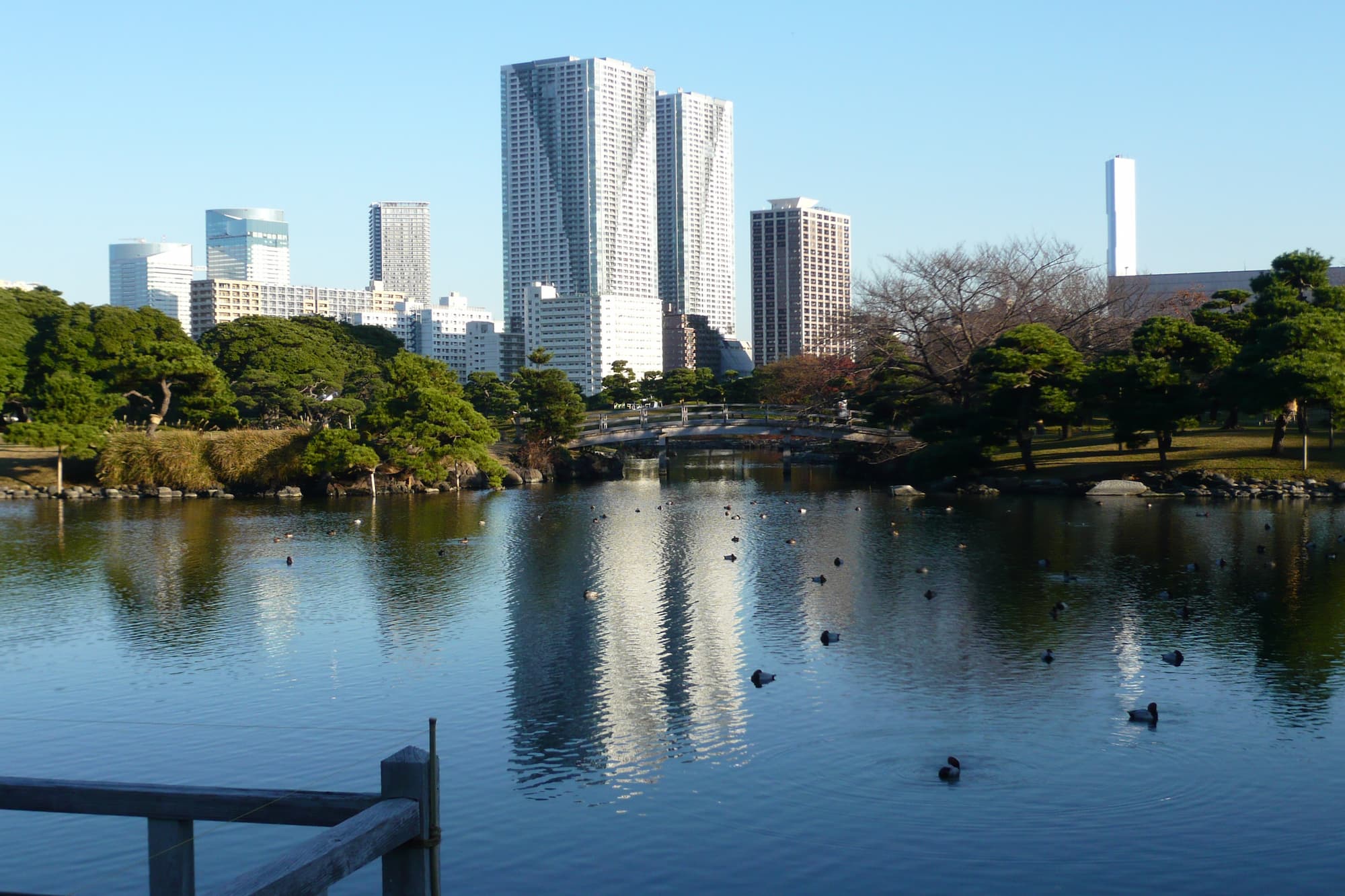 Hamarikyu Garden_own