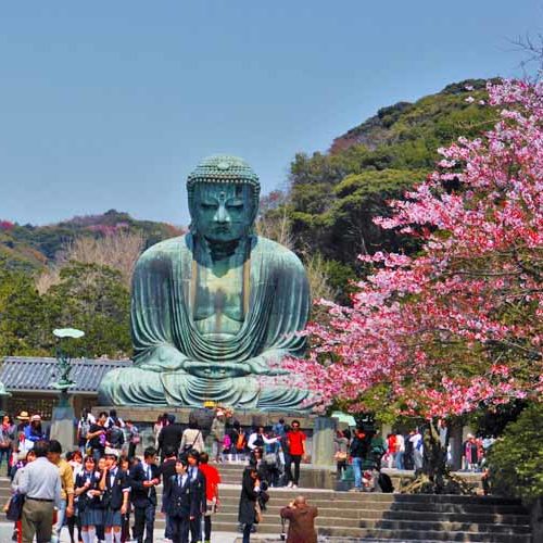 Daibutsu (great buddha) at Kamakura in spring