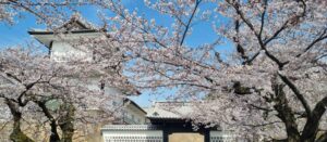Kanazawa cropped