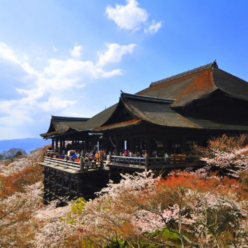 Kiyomizu temple in Summer JNTO