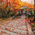 A gate at Jojakkoji Temple in Sagano Kyoto in autumn