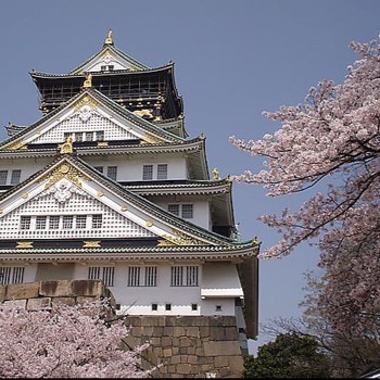 Osaka Castle in spring with cherry blossom