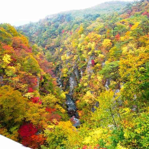 Naruko gorge in autumn without a bridge