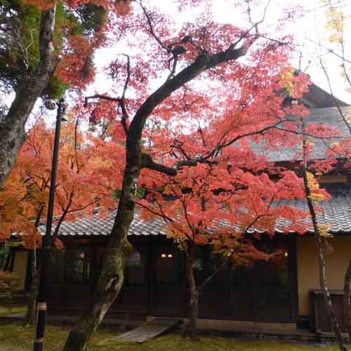 Autumn garden at Komyoji Temple in Dazaifu