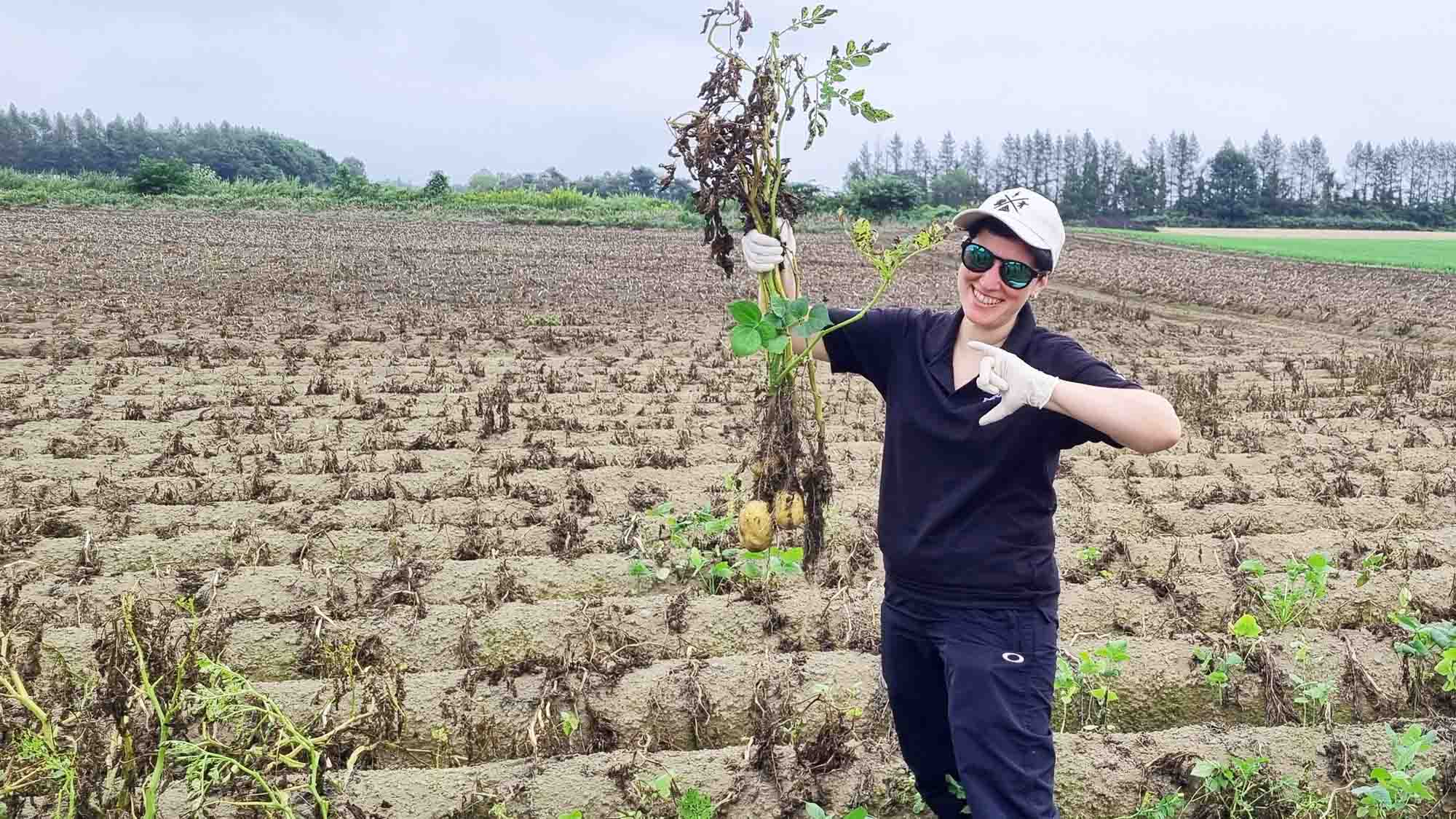 Potato farm experience 2000 x 1250