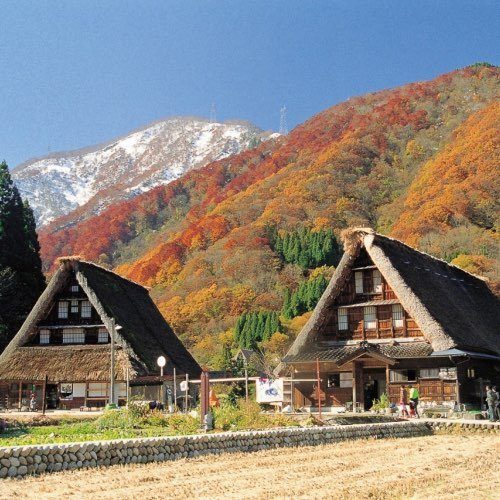 Gokayama gasshodukuri houses in autumn