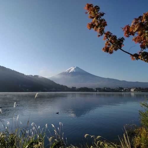 Mt Fuji in autumn