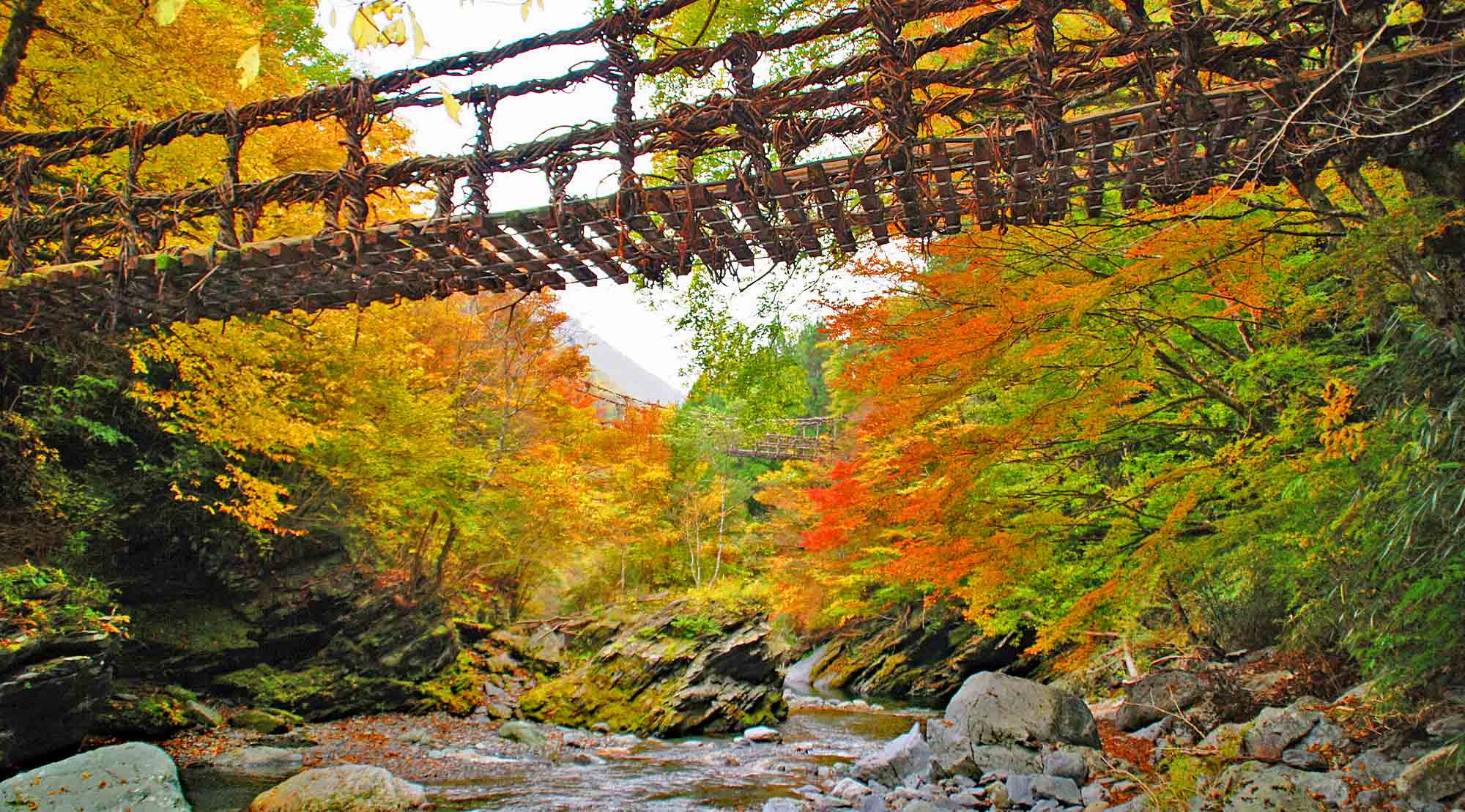 Double Vine Bridge at Iya Valley, Tokushima Shikoku Japan