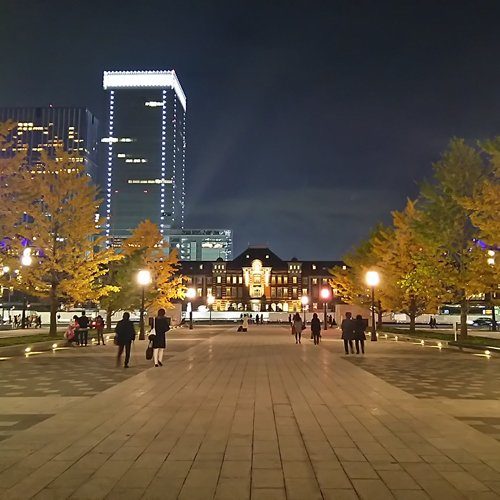Ginko trees and Tokyo Station at night
