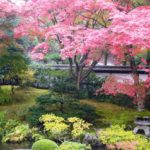 Kenroku-en garden in autumn