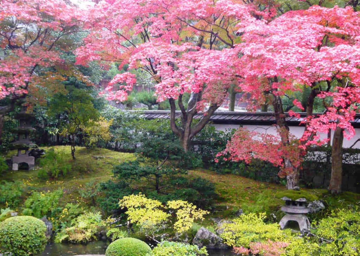 Kenroku-en garden in autumn