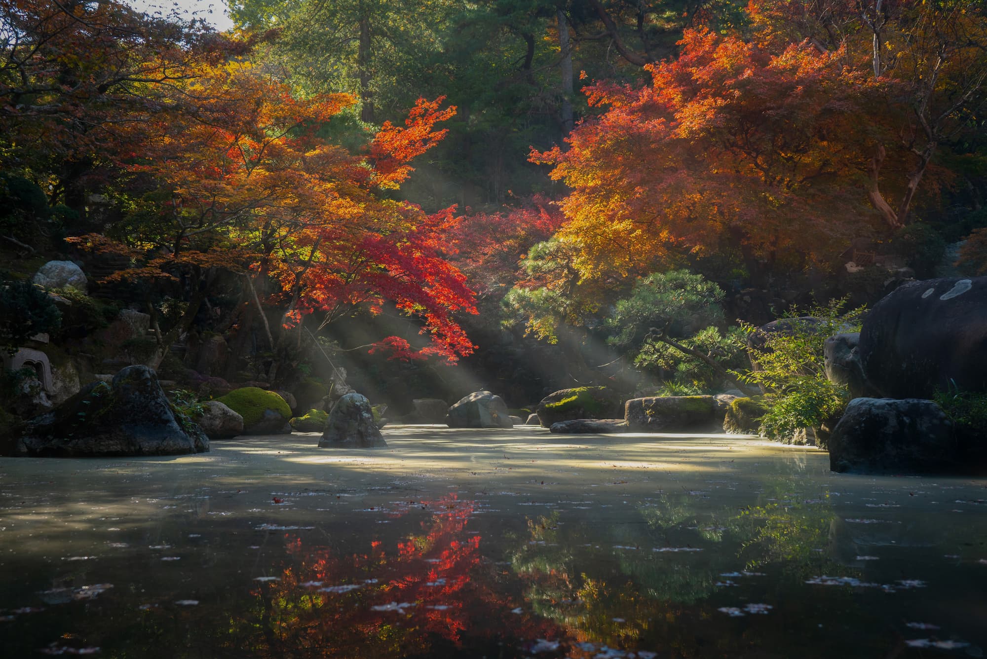Japanese garden in autumn used for main feature image for GAC-23