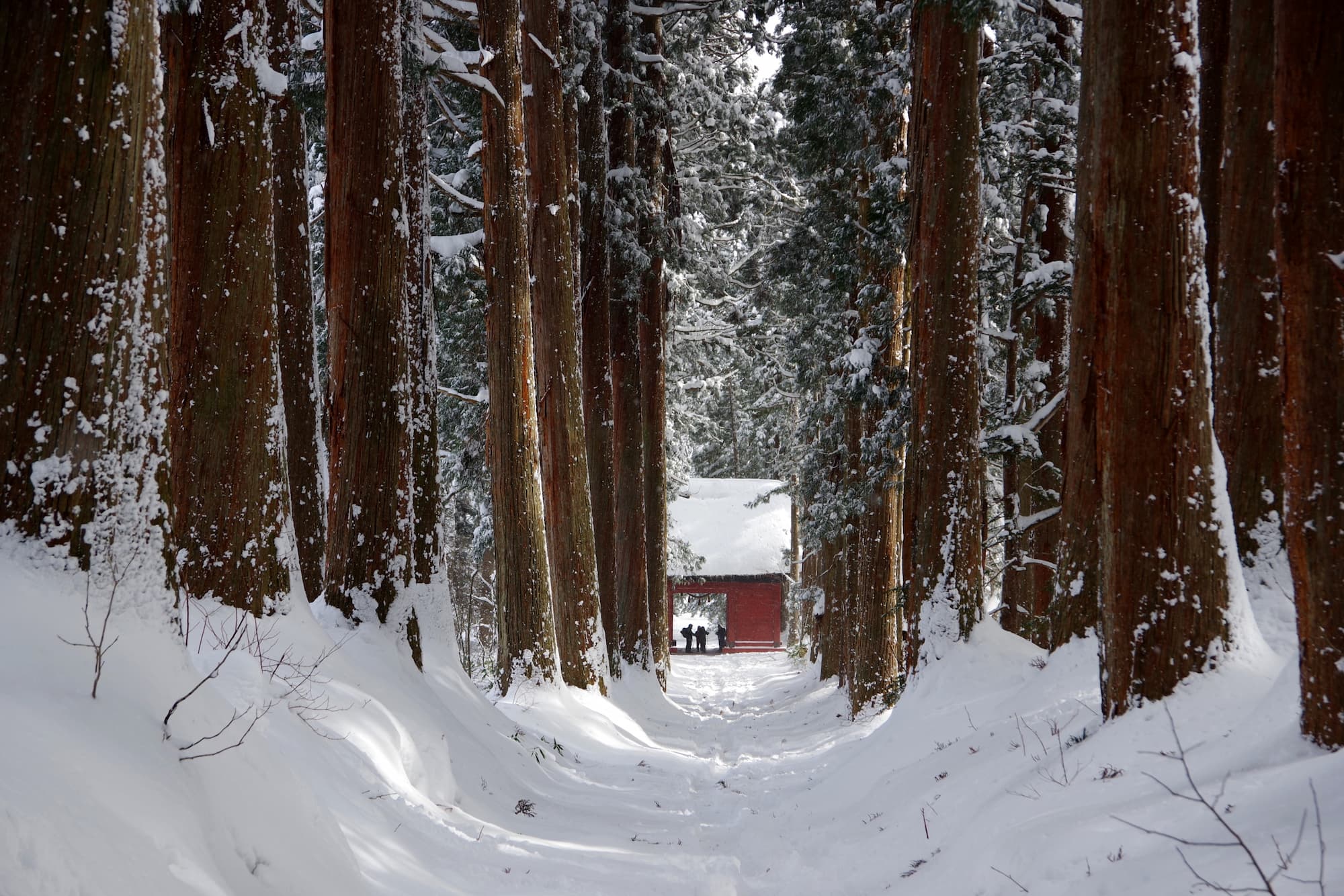 snow-spectacular-tour